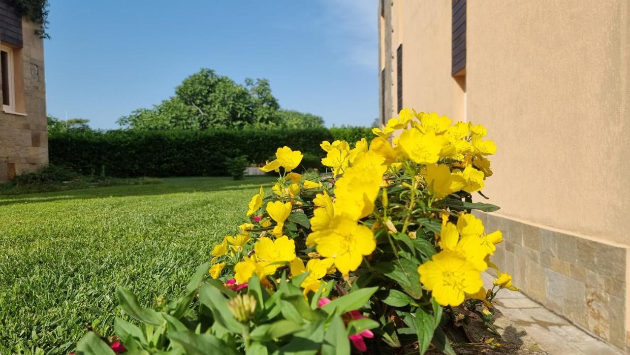 Apartments Sozopoli Hills Zewnętrze zdjęcie